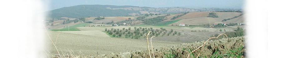 tm17.jpg (48779 Byte)